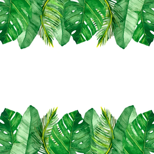 Aquarell Handbemalt Natur Tropischen Bannerrahmen Komposition Mit Grünen Monstera Palmblättern — Stockfoto