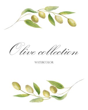 Watercolor hand painted nature romantic frame composition with green olives and leaves on branch wreath and olive collection watercolor text on the white background for cards design