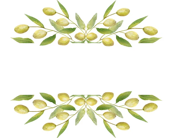 Watercolor Hand Painted Nature Garden Plants Banner Frame Green Olives — Stockfoto