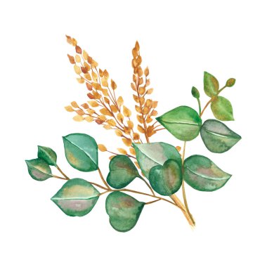 Watercolor hand painted nature greenery frain fields cereals plants composition with green eucalyptus leaves and yellow ear of grain bouquet on the white background for cards design