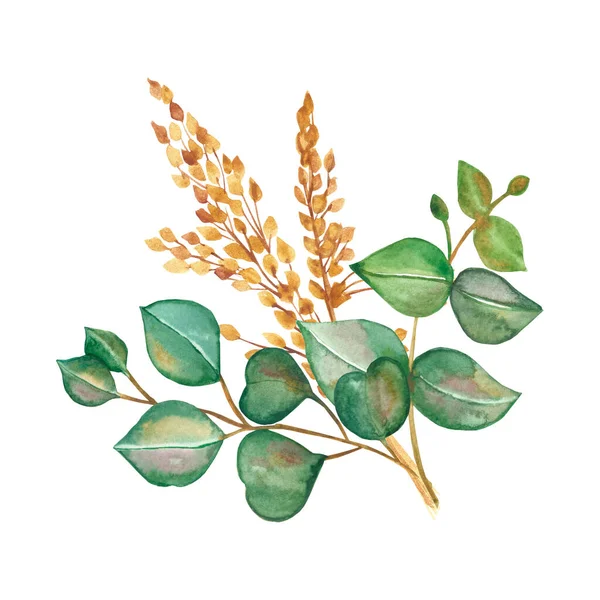 Watercolor Hand Painted Nature Greenery Frain Fields Cereals Plants Composition — Zdjęcie stockowe