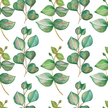 Suluboya el boyası doğa yeşillik bitkiler kusursuz okaliptüs yaprakları ile okaliptüs yaprakları beyaz arkaplan izole baskı tasarımı, duvar kağıtları ve tekstil