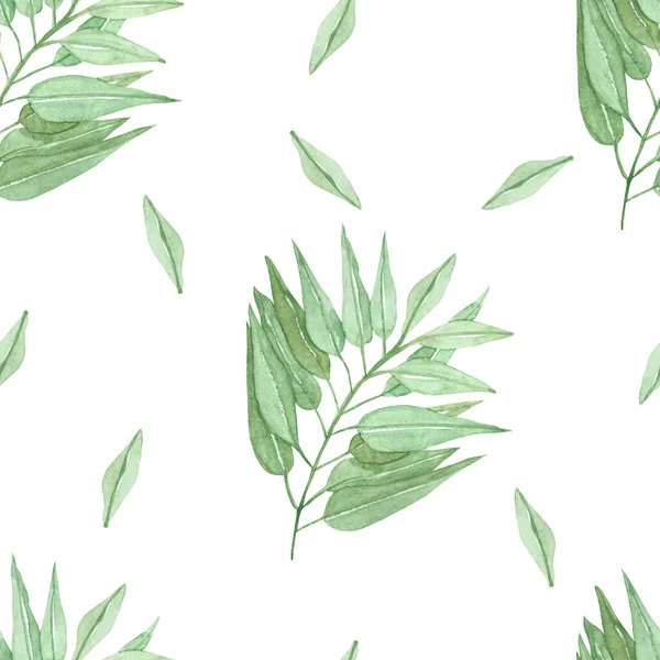 Watercolor hand painted greenery plants seamless pattern with light green eucalyptus long branches and leaves isolated on the white background for print design, wallpapers and textile
