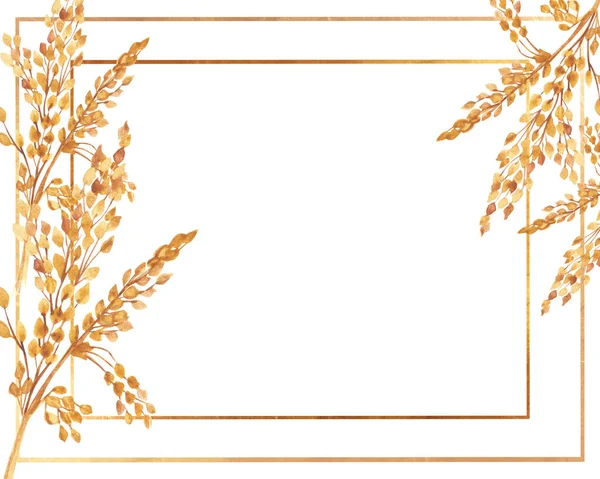 水彩画手描き自然穀物畑黄色の穀物の枝花束とテキストのためのスペースを招待し グリーティングカードのための白い背景に黄金のラインとの境界線のフレーム — ストック写真