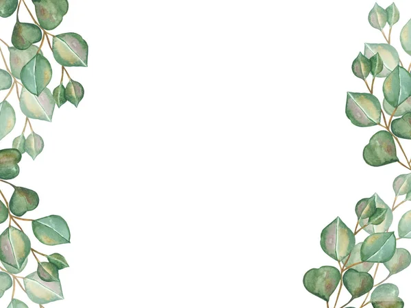 Aquarell Handbemalt Natur Grün Vertikaler Bannerrahmen Mit Grünen Eukalyptusblättern Auf — Stockfoto