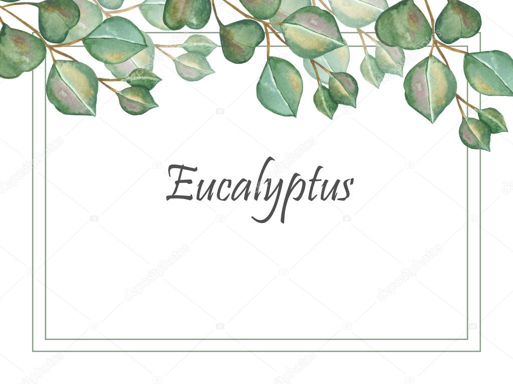 Watercolor hand painted nature greenery frame with green eucalyptus leaves on branches, shadow and border lines with eucalyptus text on the white background for invite and greeting card