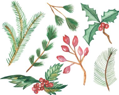 Suluboya el resmi kış tatili seti, çobanpüskülü bitkiler, dallarda kırmızı böğürtlenler, yeşil yapraklar ve Noel kartları için beyaz arka planda izole edilmiş köknar iğnesi kolları