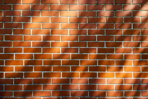 Shadow Tree Red Brick Wall — Stock Photo, Image