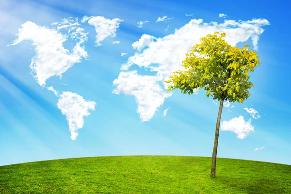 Clouds Shape World Map Green Field Tree Sun Rays — Stock Photo, Image