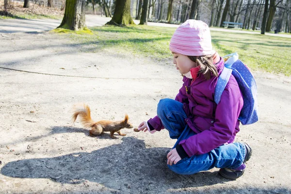 Enfant Fille Nourrit Écureuil Dans Parc Automne — Photo