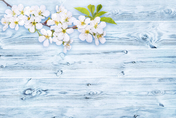 Vintage Wood with Spring Blossom