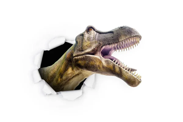 Dinozaur przebija się przez — Zdjęcie stockowe