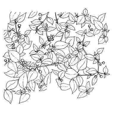 Beyaz arka plan üzerinde izole çilek ile siyah anahat ağaç dalı ile çiçek kompozisyon