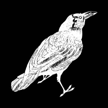 Basit el karga siyah arka plan üzerine çizilmiş.