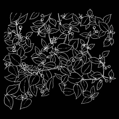 Beyaz anahat ağaç dalı ile siyah arka plan üzerine kiraz ile kompozisyon