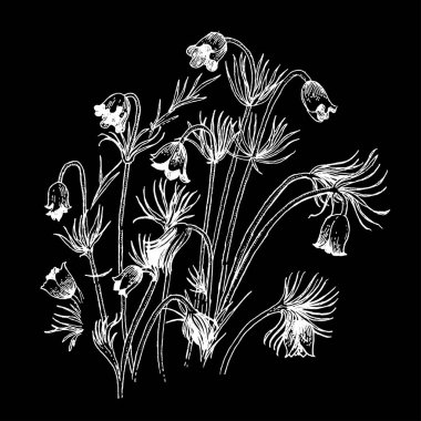 Siyah arka plan üzerine beyaz anahat kır çiçekleri ile kompozisyon