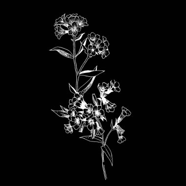 Siyah arka plan üzerine beyaz anahat çiçekler ile kompozisyon