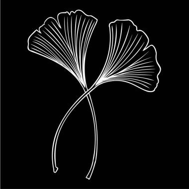 Ginkgo biloba el çizimi vektör çizimi yapar. Kusursuz desen. Çiçek arka planı