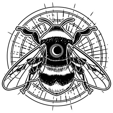 Bumblebee el vektör çizim çekilmiş. Arı, mistik ve ezoterik sembolü dövme sanat kroki