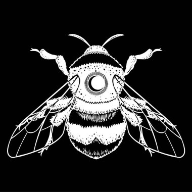 Bumblebee el vektör çizim çekilmiş. Arı, mistik ve ezoterik sembolü dövme sanat kroki