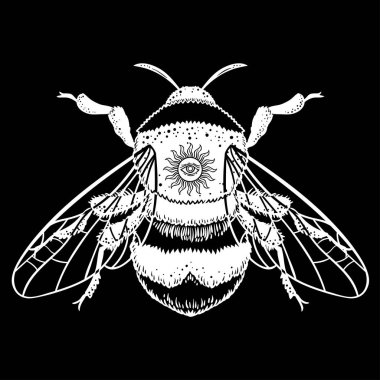 Bumblebee el vektör çizim çekilmiş. Arı, mistik ve ezoterik sembolü dövme sanat kroki