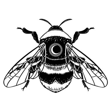 Bumblebee el vektör çizim çekilmiş. Arı, mistik ve ezoterik sembolü dövme sanat kroki