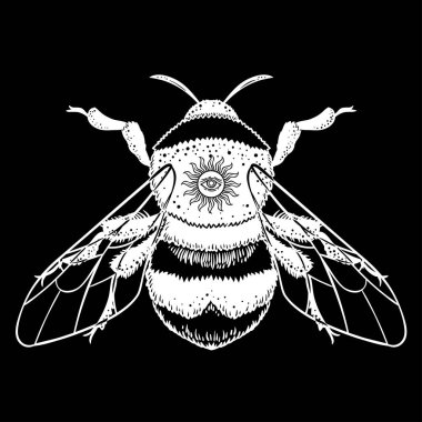 Bumblebee el vektör çizim çekilmiş. Arı, mistik ve ezoterik sembolü dövme sanat kroki