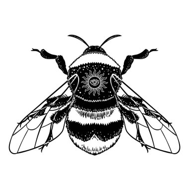 Bumblebee el vektör çizim çekilmiş. Arı, mistik ve ezoterik sembolü dövme sanat kroki