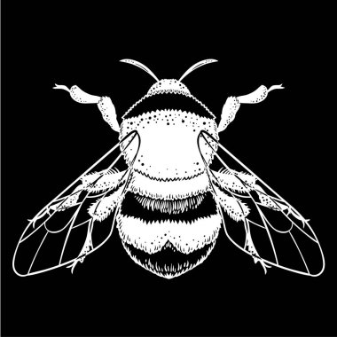 Bumblebee el vektör çizim çekilmiş. Arı, mistik ve ezoterik sembolü dövme sanat kroki
