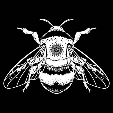 Bumblebee el vektör çizim çekilmiş. Arı, mistik ve ezoterik sembolü dövme sanat kroki