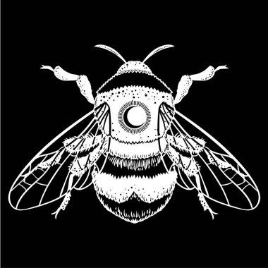 Bumblebee el vektör çizim çekilmiş. Arı, mistik ve ezoterik sembolü dövme sanat kroki