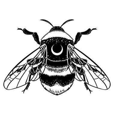 Bumblebee el vektör çizim çekilmiş. Arı, mistik ve ezoterik sembolü dövme sanat kroki