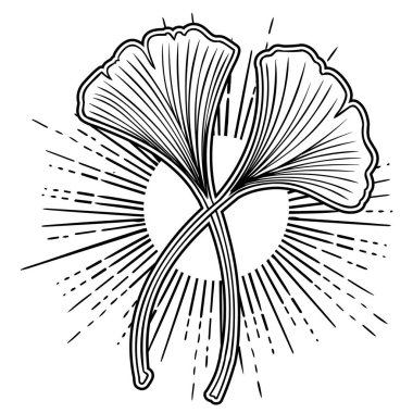Ginkgo biloba el çizimi vektör çizimi yapar. Kusursuz desen. Çiçek arka planı