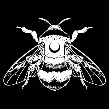 Bumblebee el vektör çizim çekilmiş. Arı, mistik ve ezoterik sembolü dövme sanat kroki