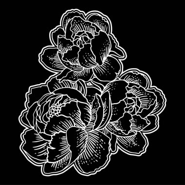 Siyah arka plan üzerine beyaz elle çizilmiş çiçekler