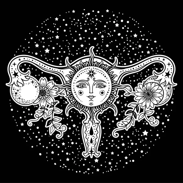 Organes Reproducteurs Femelles Avec Fleurs Soleil Lune Sur Fond Noir — Image vectorielle