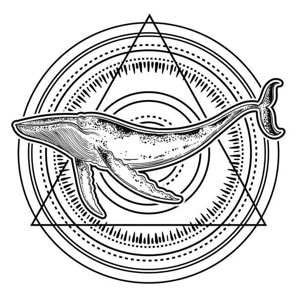 手工画的鲸鱼在几何样式背景 — 图库矢量图片