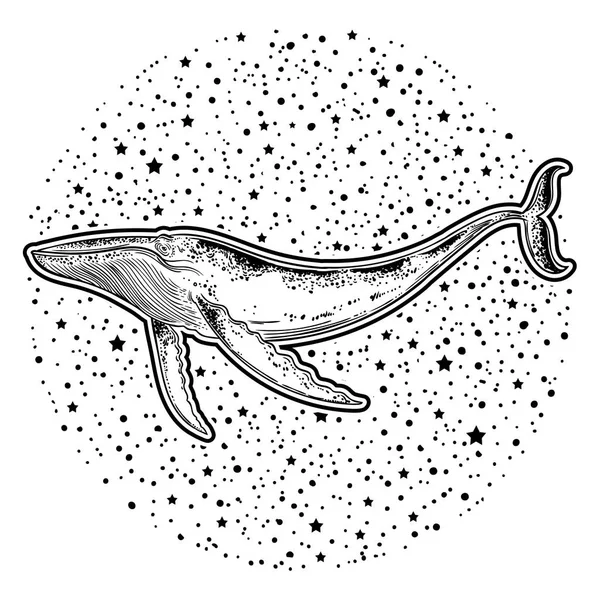 在宇宙背景手绘鲸鱼 神秘主义 鲸鱼的空间剪影 — 图库矢量图片