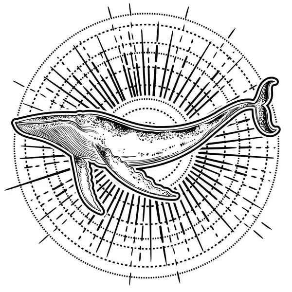 Baleine Dessinée Main Sur Fond Cosmique Cosmos Univers Occultisme Sacré — Image vectorielle