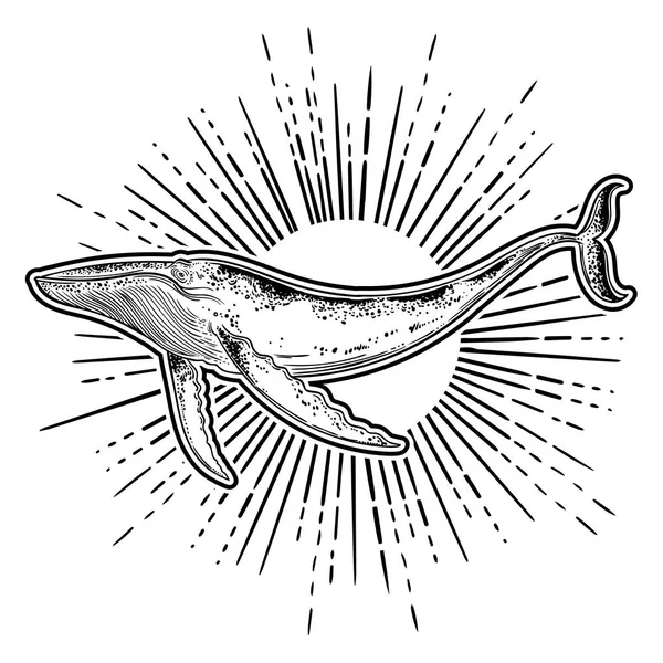 Baleine Dessinée Main Sur Fond Cosmique Cosmos Univers Occultisme Sacré — Image vectorielle