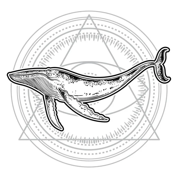 Baleine Dessinée Main Sur Fond Géométrique — Image vectorielle