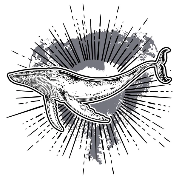 Baleine Dessinée Main Sur Fond Soleil — Image vectorielle