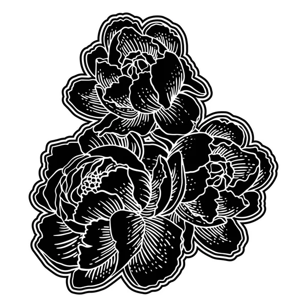 Handgezeichnete Blumen Isoliert Auf Weißem Hintergrund — Stockvektor