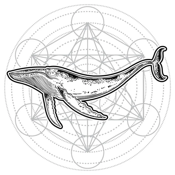 Baleine Dessinée Main Sur Fond Géométrique — Image vectorielle