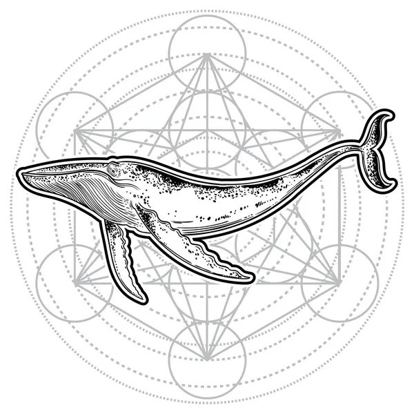 Baleia Desenhada Mão Sobre Fundo Padrão Geométrico — Vetor de Stock