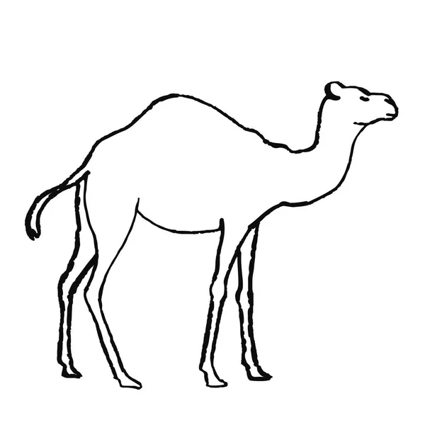Lindo Animal Dibujado Mano Estilo Escandinavo Arte Línea Simple Ilustración — Vector de stock