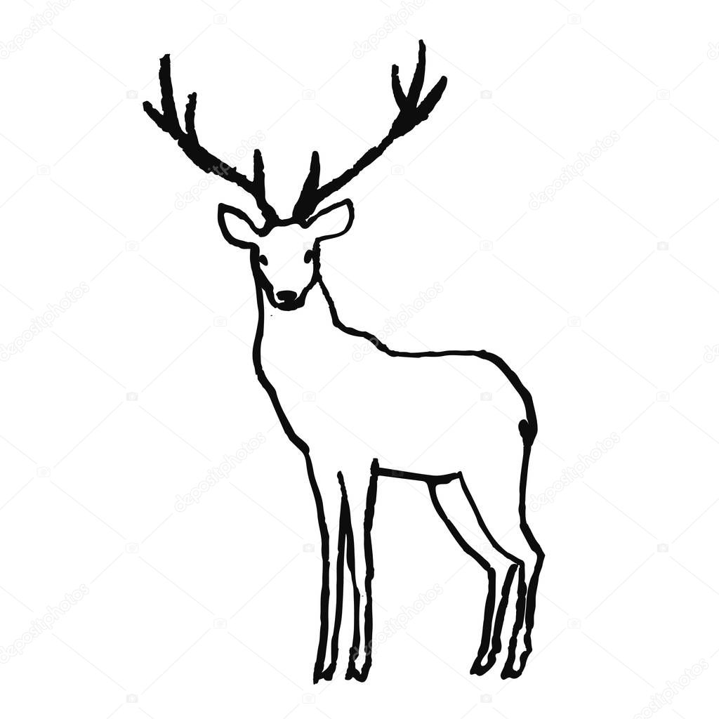 Cute hand drawn animal in scandinavian style. Simple line art. Vector illustration.