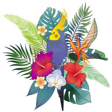 Güzel tropikal egzotik papağan kuş. Vektör çizimi.