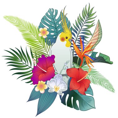 Güzel tropikal egzotik papağan kuş. Vektör çizimi.