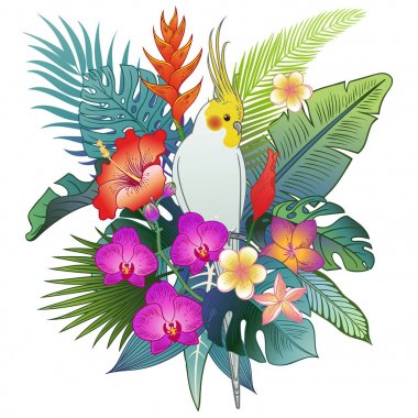 Güzel tropikal egzotik papağan kuş. Vektör çizimi.